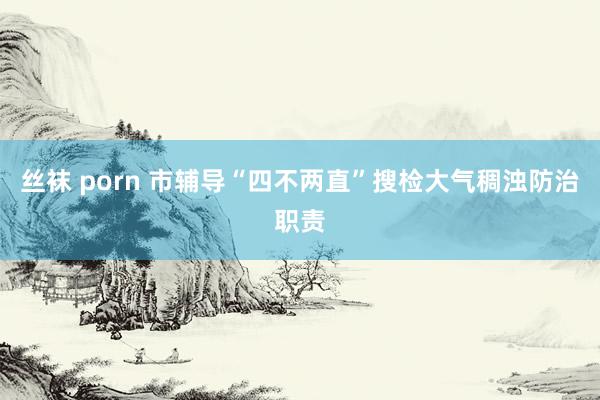 丝袜 porn 市辅导“四不两直”搜检大气稠浊防治职责