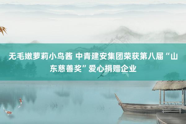 无毛嫩萝莉小鸟酱 中青建安集团荣获第八届“山东慈善奖”爱心捐赠企业