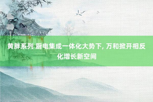 黄胖系列 厨电集成一体化大势下， 万和掀开相反化增长新空间