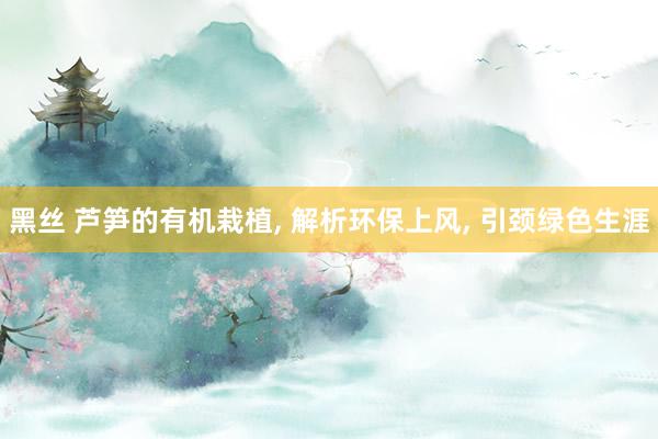 黑丝 芦笋的有机栽植， 解析环保上风， 引颈绿色生涯
