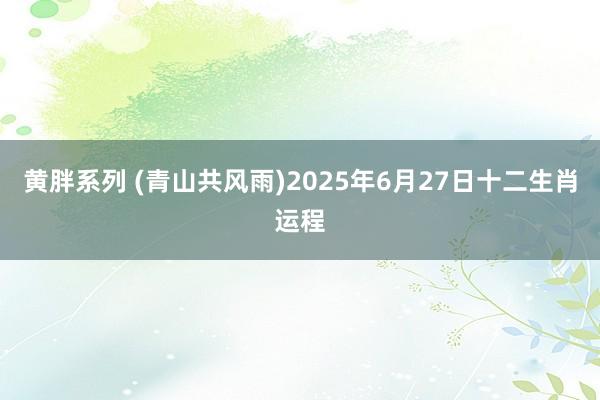 黄胖系列 (青山共风雨)2025年6月27日十二生肖运程